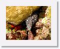 06-Bequia - 49